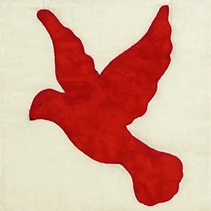 Image 08